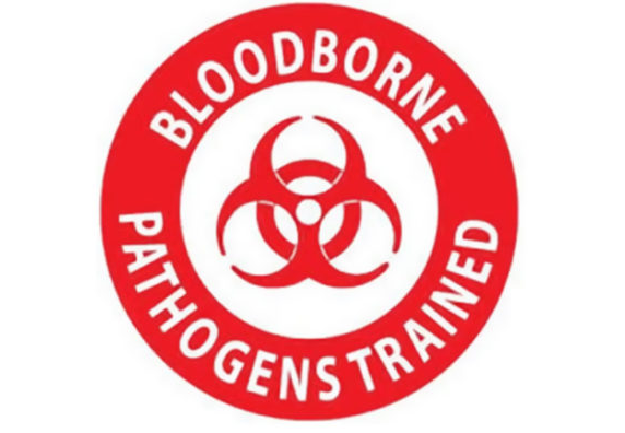 b9